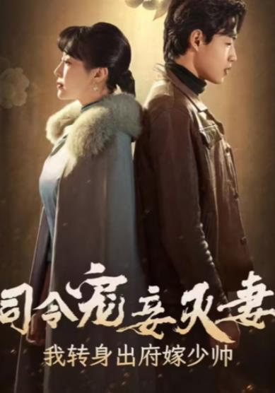 司令宠妾灭妻，我转身出府嫁少帅